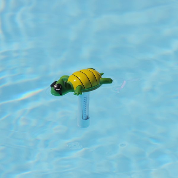 Thermometre tortue Torty